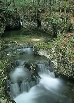 Prints of A stream in the Mostnica gorge, Stara Fuzina, Triglav National Park, Slovenia River Prints: Mostnica Gorge Stream Print, Slovenia