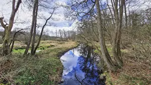 Cloudy Waterfront Scene Prints: Stream surrounded by trees under a partly cloudy sky
