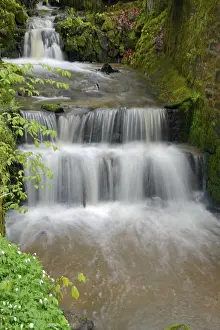 Clean Drinking Water Source Prints: Stream, water, flowing, spring
