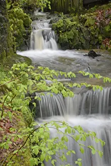 Uninhabited River Landscape Photo Prints: Stream, water, flowing, spring