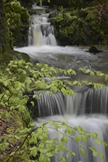 Waterfall Landscape Photo Prints: Stream, water, flowing, spring