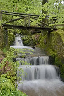 Waterfall Landscape Photography Prints: Stream, water, flowing, spring