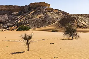 Western Asia Barren Landscapes Prints: Striking rocks surrounded by windswept sand structures