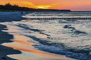 Wooden Groynes Germany Prints: Strollers and groynes at the beach of Zingst at sunset
