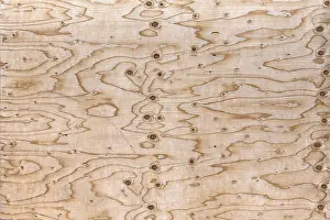 Travel Photography Bavaria Prints: Structure of a chipboard, Bavaria, Germany