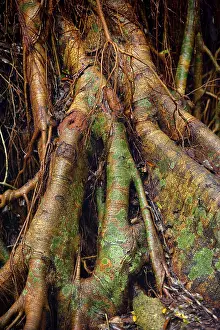 Australian Wilderness Landscape Prints: Structure, pattern, deposits, patina