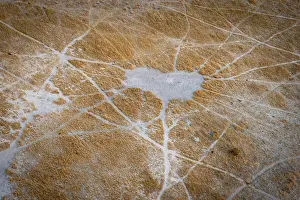 Prints of Structure and pattern of trails, animal trails, landscape, aerial view of the Okavango Delta, near Maun, Okavango Delta, Botswana Maun Prints: Okavango Delta Trails Aerial Print, Botswana