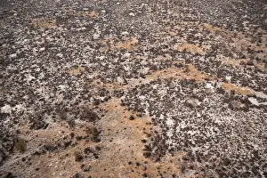 Prints of Structure and pattern, trees in the dry season, arid landscape, aerial view of the Okavango Delta, near Maun, Okavango Delta, Botswana Maun Prints: Arid Landscape Print, Okavango Delta, Botswana