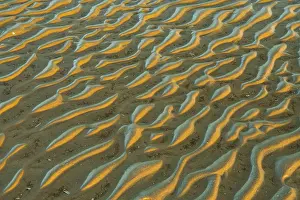 North Frisia Landscape Prints: Structure in sandy beach at low tide