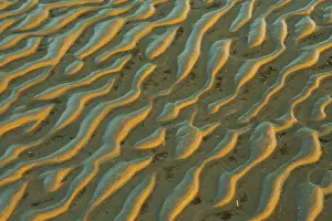 Natural Reserve Conservation Area Prints: Structure in sandy beach at low tide