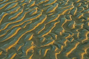 North Frisia Landscape Prints: Structure in sandy beach at low tide