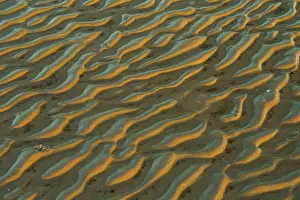 Evening Light On Mudflats Prints: Structure in sandy beach at low tide
