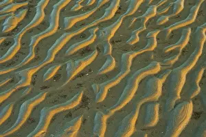 North Frisia Coastal Area Prints: Structure in sandy beach at low tide