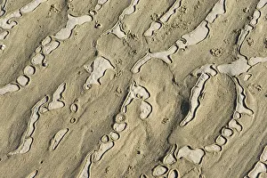 No People On The Beach Prints: Structured sandy area with undulating natural patterns and shapes