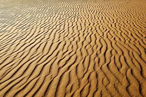 Dune Formations In Africa Prints: Structures on a dune in the Namib desert