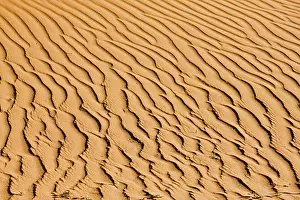 African Sand Dunes Prints: Structures on a dune in the Namib desert