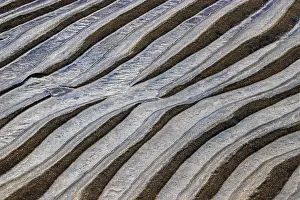 Sandy Beach Patterns Prints: Structures, ripples in the sand