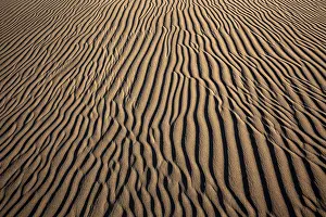 Wavy Sand Patterns Prints: Structures in the sand, dunes of Maspalomas