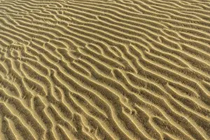 Maspalomas Sand Dunes Prints: Structures in the sand, dunes of Maspalomas
