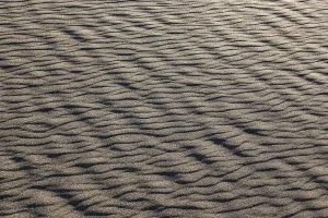 Maspalomas Sand Dunes Prints: Structures in the sand, dunes of Maspalomas