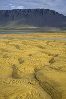 Rauoasandur Patterns Prints: Structures in the sand, Rauoasandur