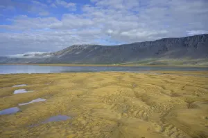Uninhabited Icelandic Landscapes Prints: Structures in the sand, Rauoasandur
