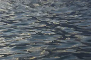 Open Air Waterscapes Prints: Structures on water surface