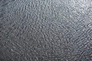 Central Europe Water Features Prints: Structures of a water surface from the Main