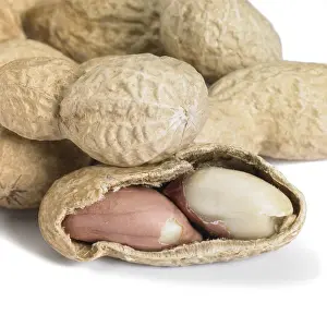 Deserted Studio Background Photo Prints: Studio photography of a open peanut detail