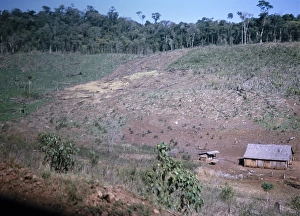 South American Countryside Scenery Prints: Subsistence farming Deforestation for subsistence farming