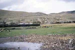 Lake Titicaca Shores Print, Peru 1962