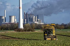Environmental Pollution Issue Prints: Sugar beet harvest, with an automatic