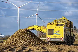 German Farmland Cultivation Prints: Sugar beet harvest, with an automatic