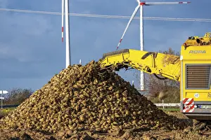 German Farmland Cultivation Prints: Sugar beet harvest, with an automatic