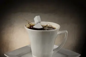 Studio Shot Coffee Prints: Two sugar cubes falling into a cup of coffee