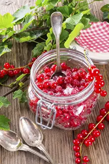 Red Currant Dessert Prints: Sugared red currant