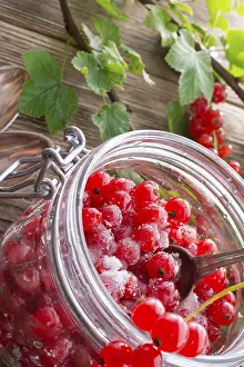 Healthy Meal Ideas Prints: Sugared red currant