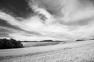 Uninhabited Countryside Scene Prints: Summer field