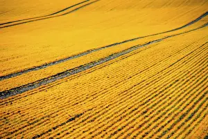 Long Exposure Shots Prints: Summer impression