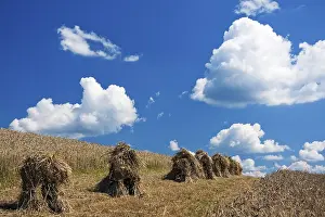 Agricultural Countryside Views Prints: Summer landscape