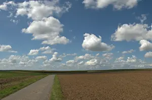 Agricultural Landscape In Germany Prints: Summer sky with clouds above fields