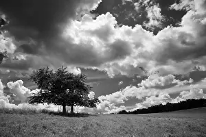 Gloomy Weather Forecast Prints: Summer thunderstorms in black and white