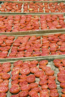 Mallorca Plant Life Prints: Sun-dried tomatoes
