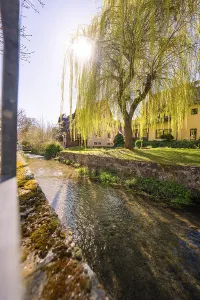 Baden Wurttemberg Scenery Prints: Sun rays shine through the branches of a willow tree above a stream
