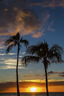 Tropical Evening Atmosphere Prints: Sun setting between two palm trees