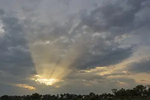 Wetland Biotope Images Prints: Sunbeams breaking through the clouds