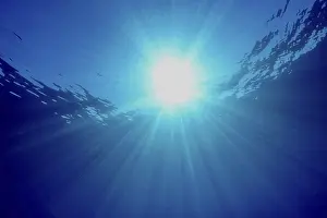 Europe Underwater World Prints: Sunlight shines through the water surface and creates patterns