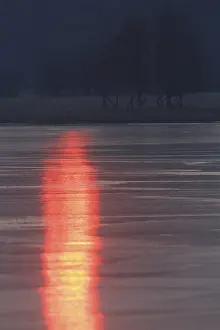 Biosphere Reserve Mittlere Elbe Prints: Sunrise with reflection on the ice
