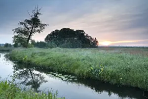 Prints of Sunrise over river in spring, Drenthe, Netherlands River Prints: Sunrise Print over River in Spring, Drenthe, Netherlands