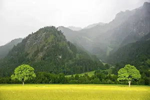 Stormy Weather In Europe Prints: The sun's rays falling on the trees